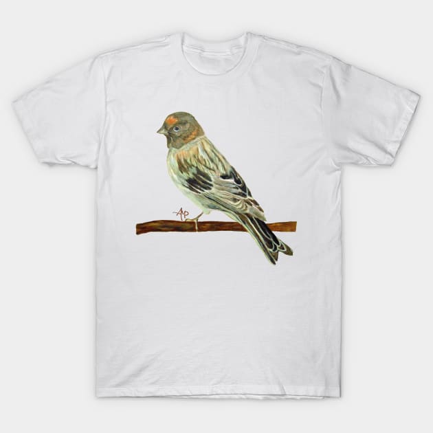 Red-Fronted Serin T-Shirt by ampomata
